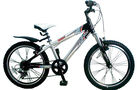 Raleigh Blast 20 2010 Kids Bike (20 Inch