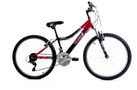 Daytona 2010 Kids Bike (24 Inch