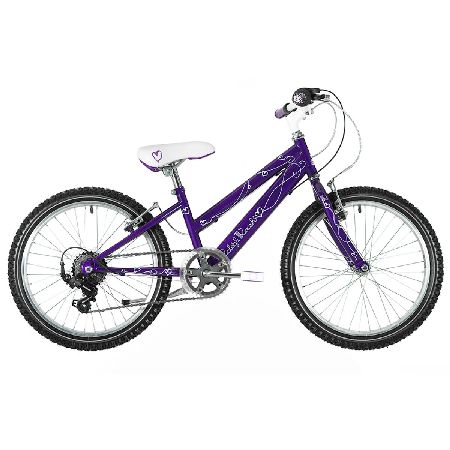 Raleigh KRUSH 20 (2016) Kids Bikes - Over 7