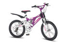 Raleigh Mega Max 20 Girls 2009 Kids Bike (20 inch Wheel)