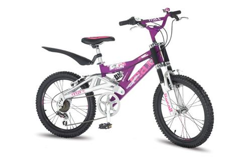 Mega Max FS20 inch Wheel Girls