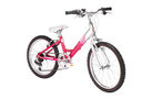 Raleigh Starz 20 Girls 2009 Kids Bike (20 inch Wheel)