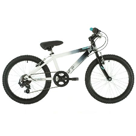 Raleigh Zero 20`` (2016) Kids Bikes - Over 7