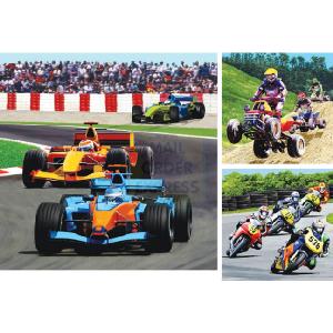 Ravensburger Racing Jigsaw Puzzles 3 In A Box