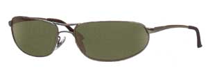 RayBan 3169 sunglasses