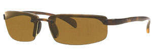 RayBan 4051 Sunglasses