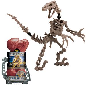 re creation Skeleflex Velociraptor Bones