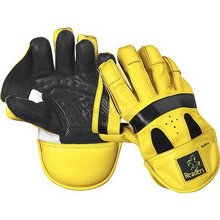 Modena Wicket Keeping Gloves