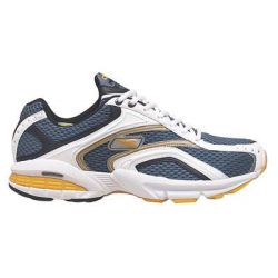 Reebok Premier DMX Cushioning Road Running Shoe