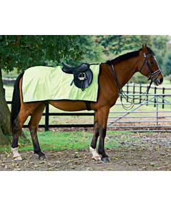 Waterproof Exercise rug