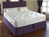 Status (Firm) Divan Set 3 Single Damson