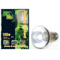 Euro Rep Basking Spot Lamp 100 Watt Bayonet