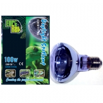 Euro Rep Daylight Spot Lamp 100 Watt Screw Fit