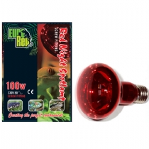 Euro Rep Red Night Spot Lamp 100 Watt Bayonet