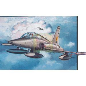 Revell Model Set Northrop F5 1 72