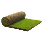 Medallion Turf - 1m2 roll (30 rolsl)