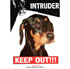 INTRUDER DOG SIGN - KEEP