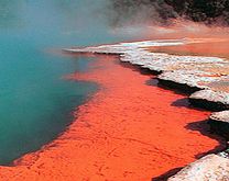 Rotorua Eco Thermal Park Small Group Tour - Child