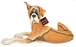 Royal Doulton Champ Boxer