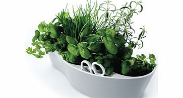 Herb Garden Herb Garden White