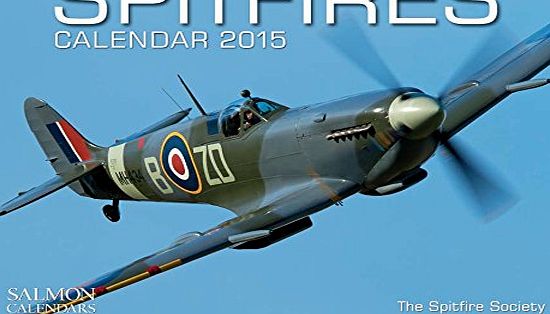 Salmon Spitfires Small Wall Calendar 2015