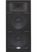 RS215 HD Resound PA Cabinet