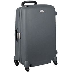 Samsonite Fawn 82cm Spinner Case