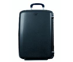 Samsonite FLite Comfort Upright 79/29 Case 14618079