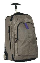 Samsonite Freeminder 55cm Duffle Bag on Wheels A53105055