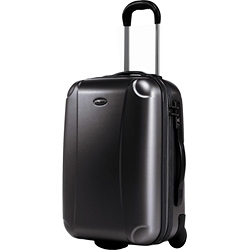 Samsonite Sky Wheeler 2 67 cm Upright Case   FREE Travel