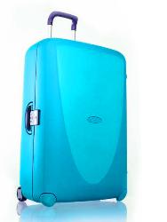 Samsonite Termo 67cm Upright Case V4511008