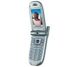 SAMSUNG SGH-P100