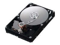 SpinPoint F1 Desktop Class HD103UJ - hard drive - 1 TB - SATA-300