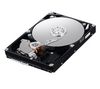 SAMSUNG SpinPoint F1 Desktop Class HD103UJ - hard drive