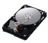 SpinPoint F1 Desktop Class HD753LJ - hard drive