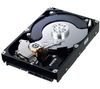 SAMSUNG Spinpoint F1 HD642JJ Internal Hard Drive - 3.5`