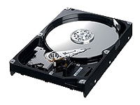 SpinPoint S166 HD161HJ - hard drive - 160 GB - SATA-300