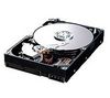 SAMSUNG Spinpoint T133S HD401LJ - 400GB - 7200RPM - SATA