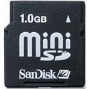 1GB Mini SD Card