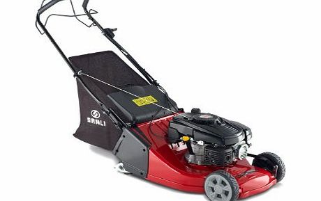 Sanli LSPR48 48cm.19in Rear Roller Self Propelled Petrol Lawnmower