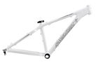 Chameleon 2009 Mountain Bike Frame