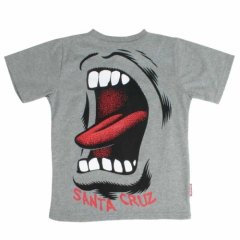 Kids Santa Cruz Big Hand T-shirt Heather Grey