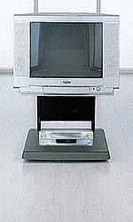 SANYO 21DN6