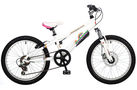 Saracen Rainbow 2008 Kids Bike