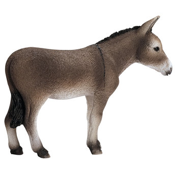 Donkey