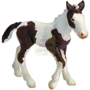 Tinker Foal