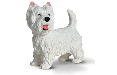 West Highland Terrier