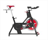 Schwinn Fitness Schwinn Ic Elite Bike