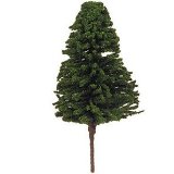 Scolaire Ltd Large Fir Tree