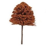 Scolaire Ltd Medium Beech Trees Pk3